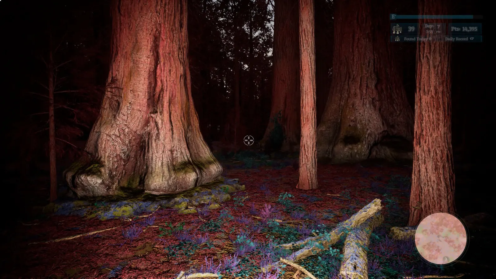 Morels: Out of this World media 15