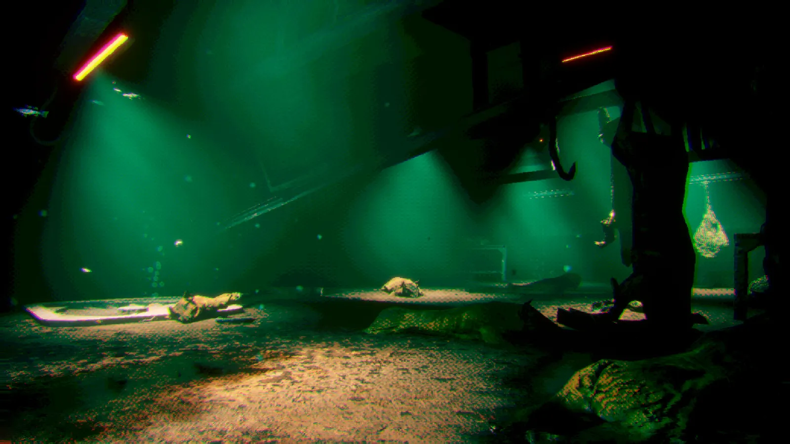 Murky Divers media 12