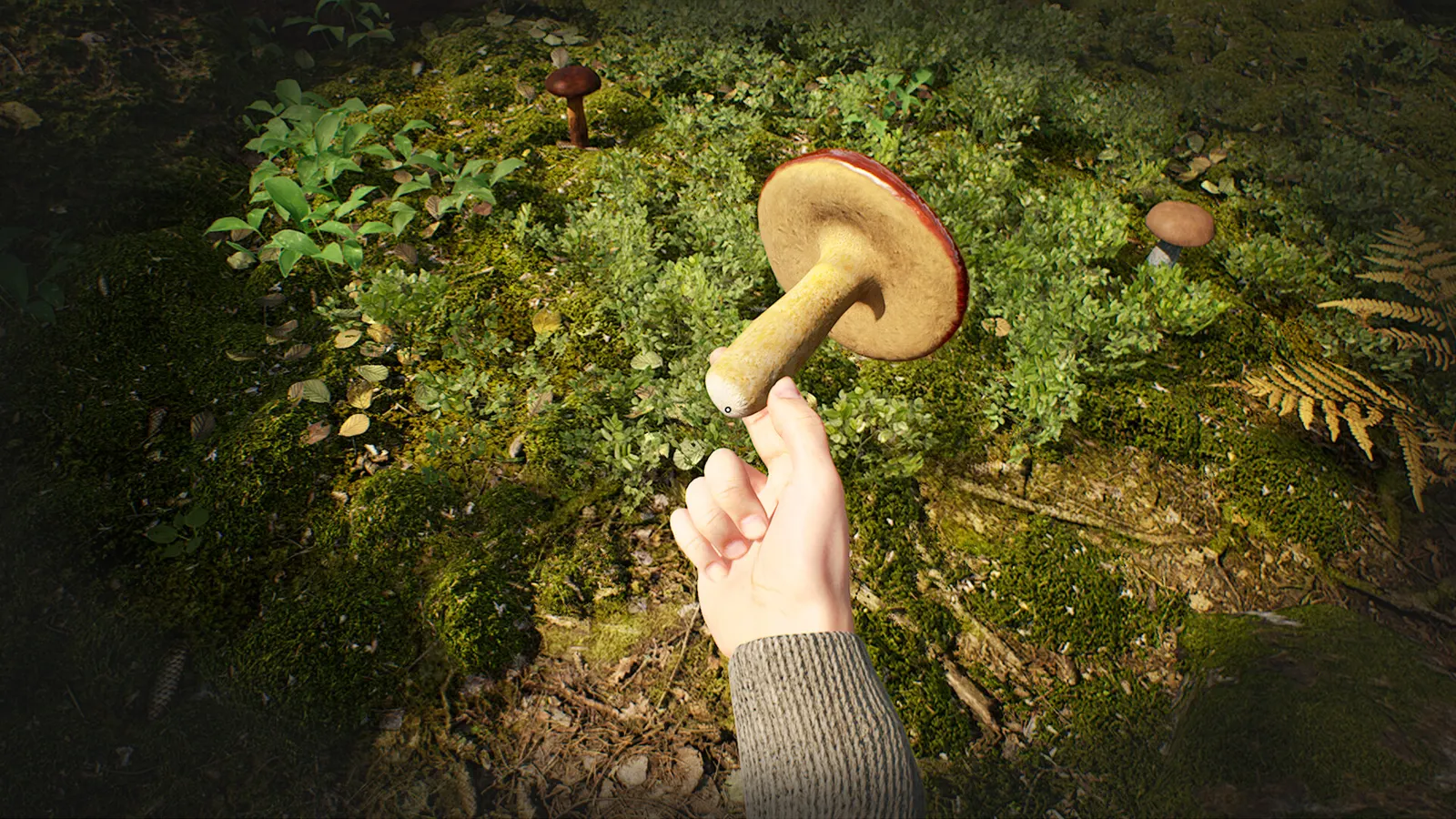 Mushroom Hunter Simulator media 3