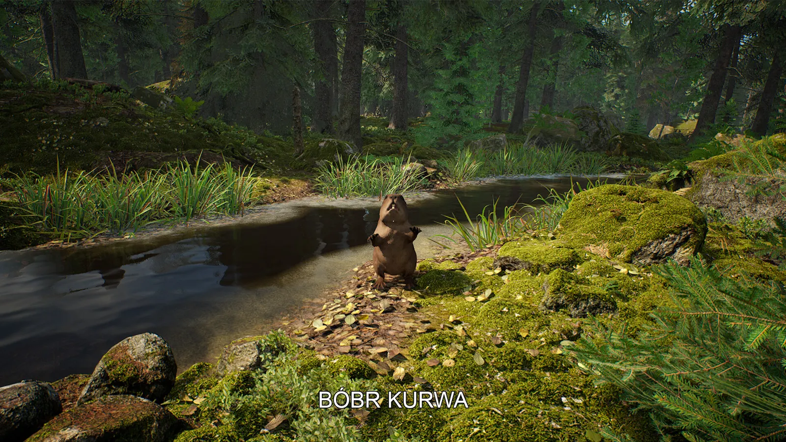 Mushroom Hunter Simulator media 5