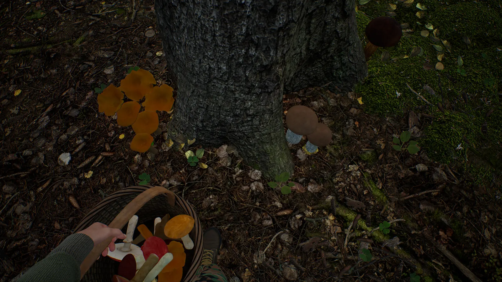 Mushroom Hunter Simulator media 6