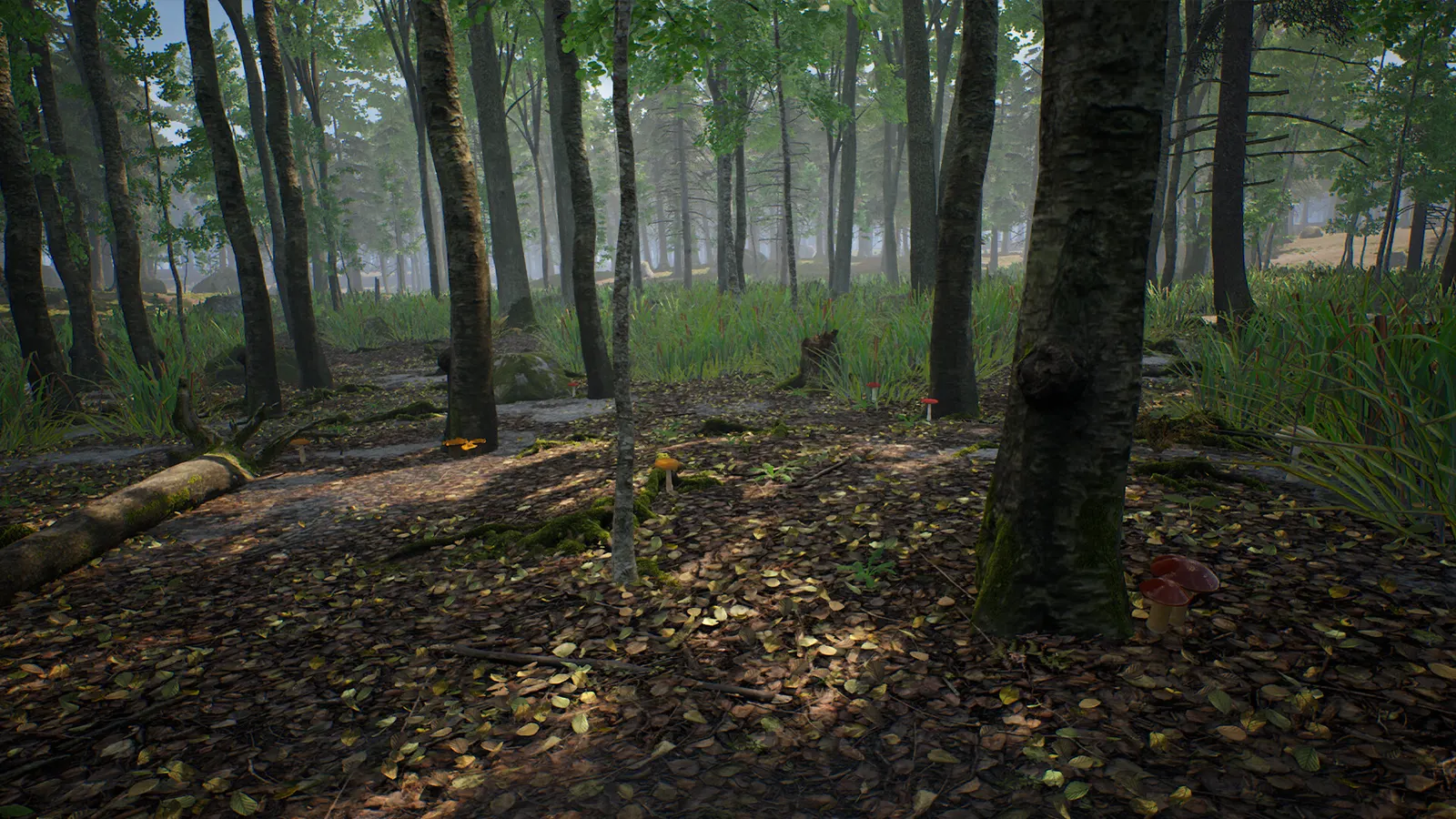 Mushroom Hunter Simulator media 8