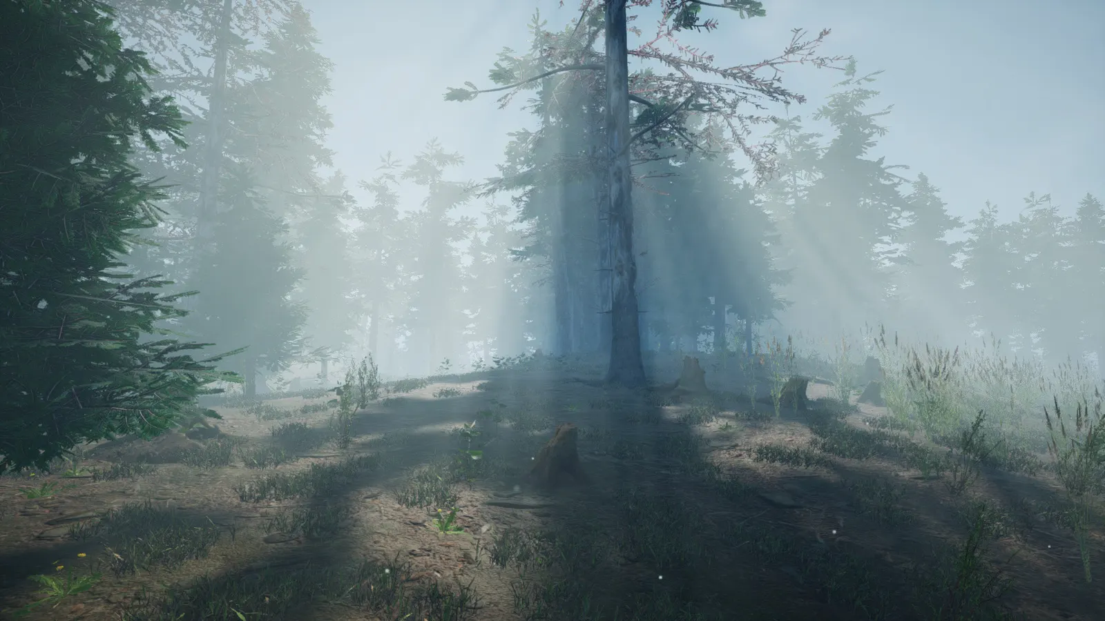 Mushroom Picker Simulator media 2