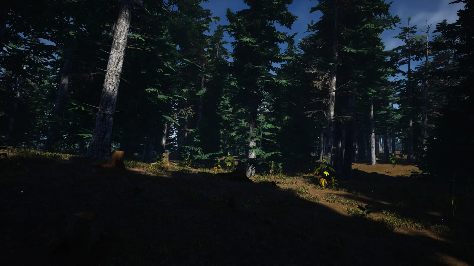 Mushroom Picker Simulator media 6