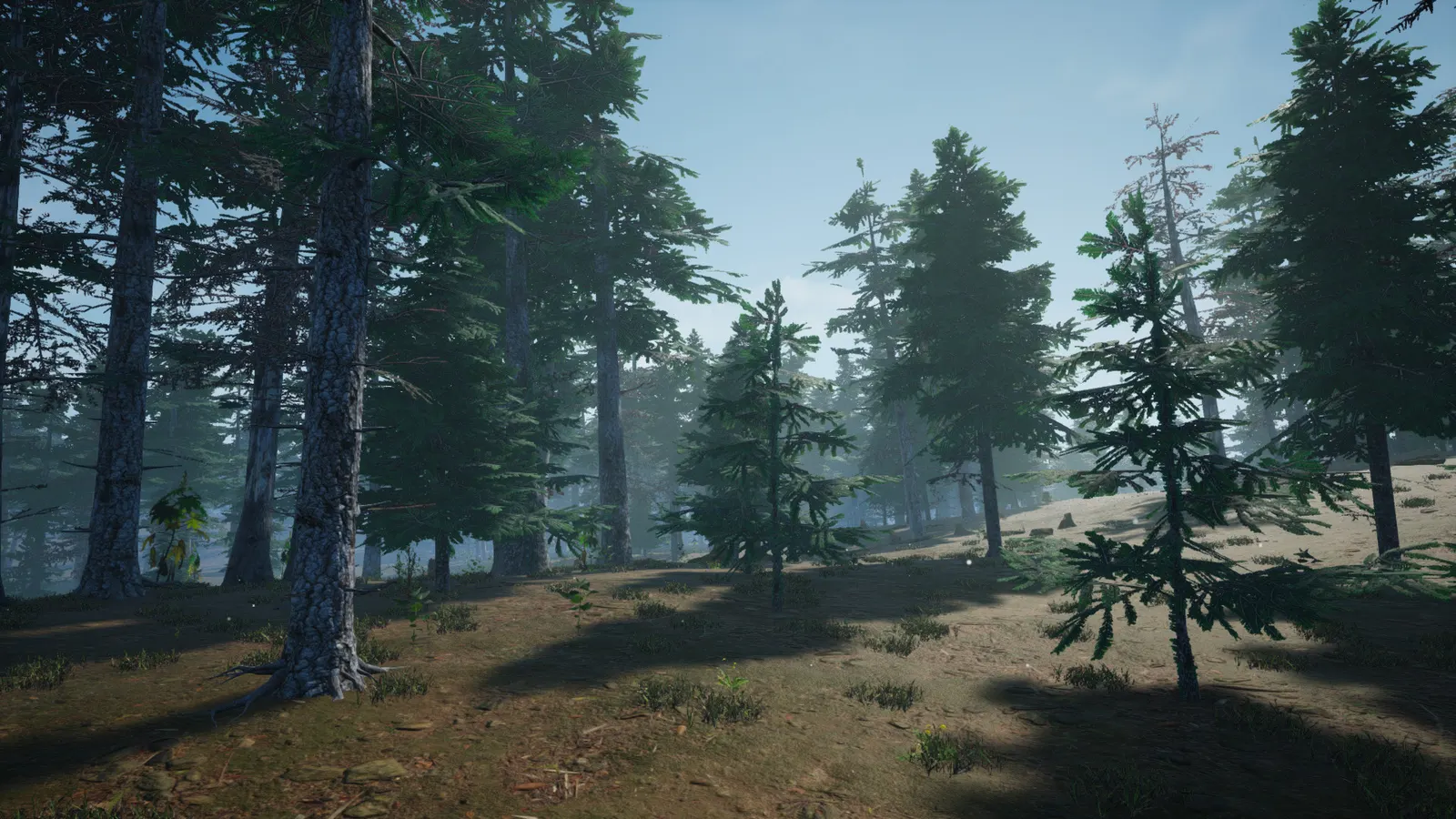 Mushroom Picker Simulator media 13