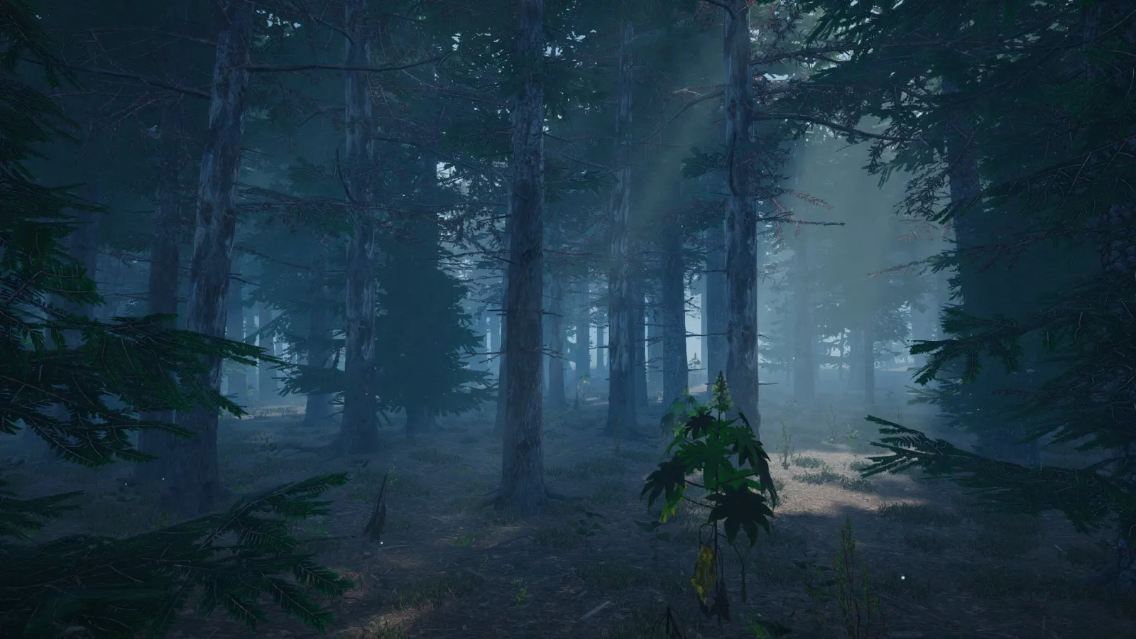 Mushroom Picker Simulator media 14