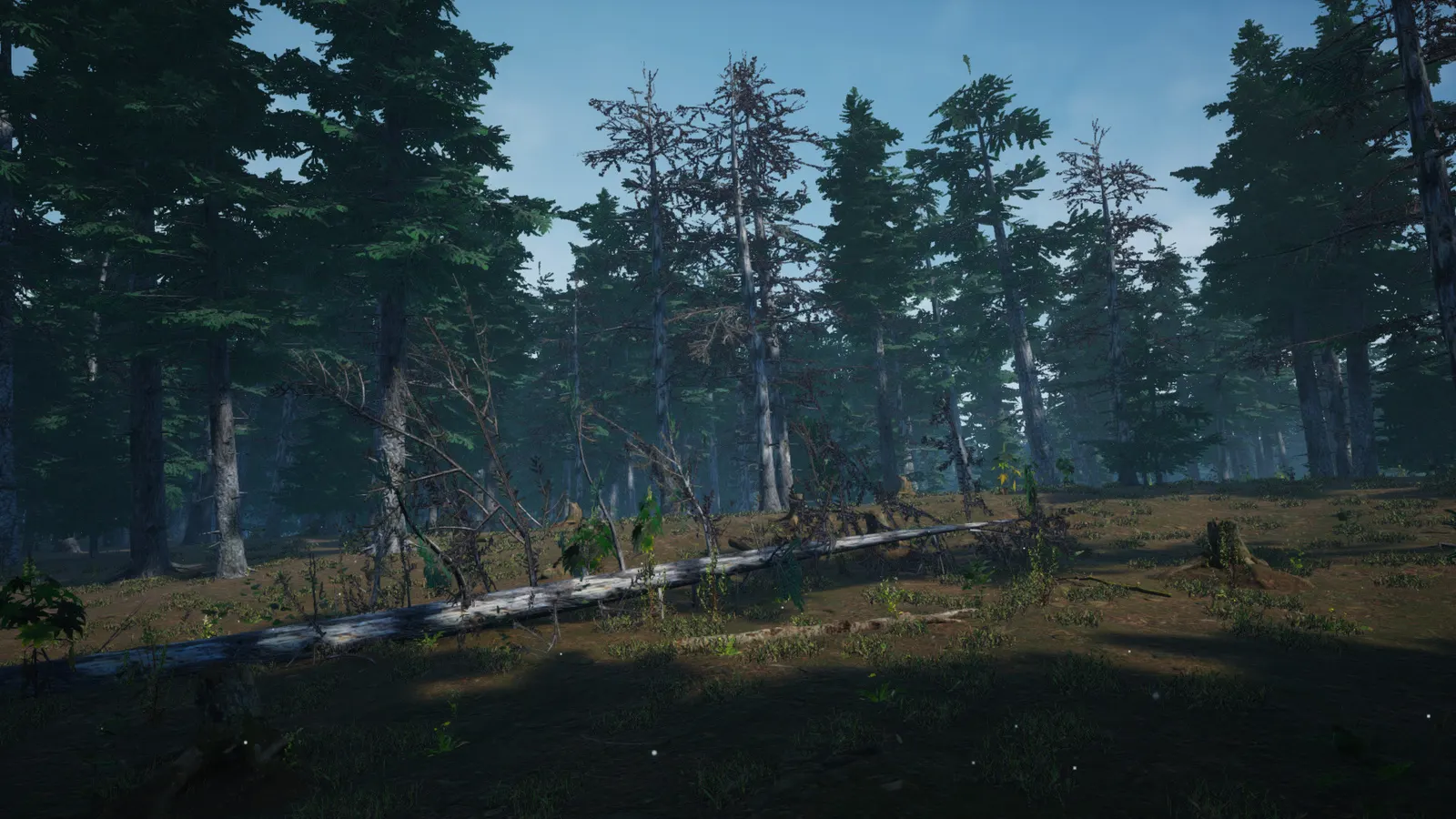 Mushroom Picker Simulator media 15