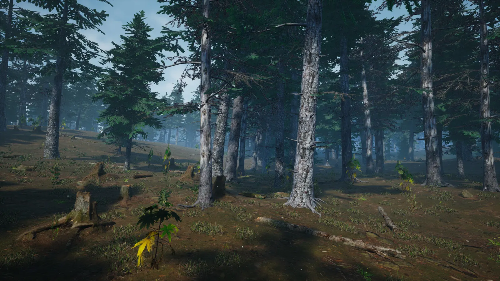 Mushroom Picker Simulator media 16