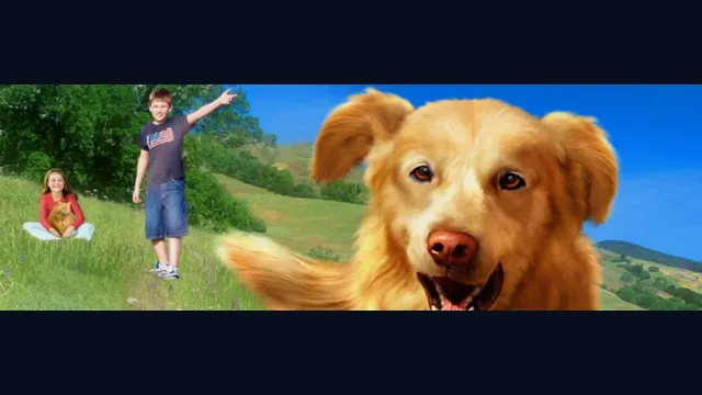 My Best Friends - Cats & Dogs