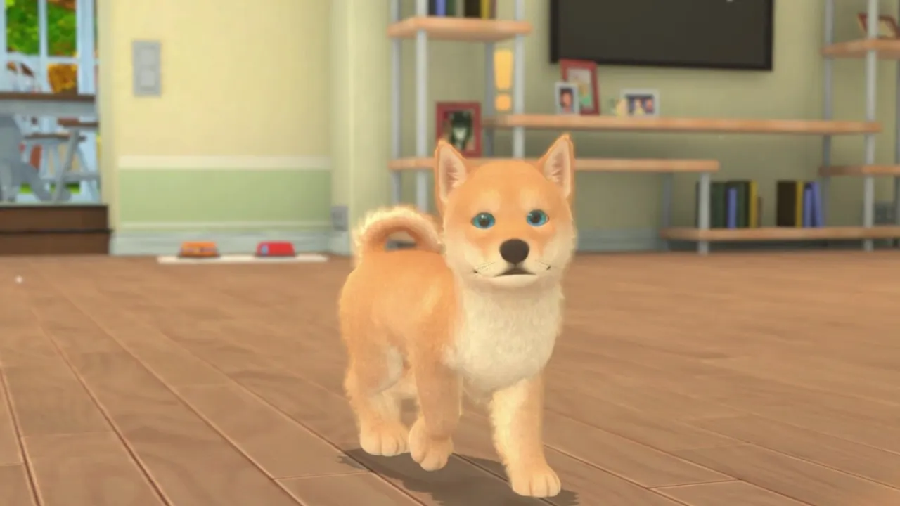 My Universe - Puppies & Kittens media 9