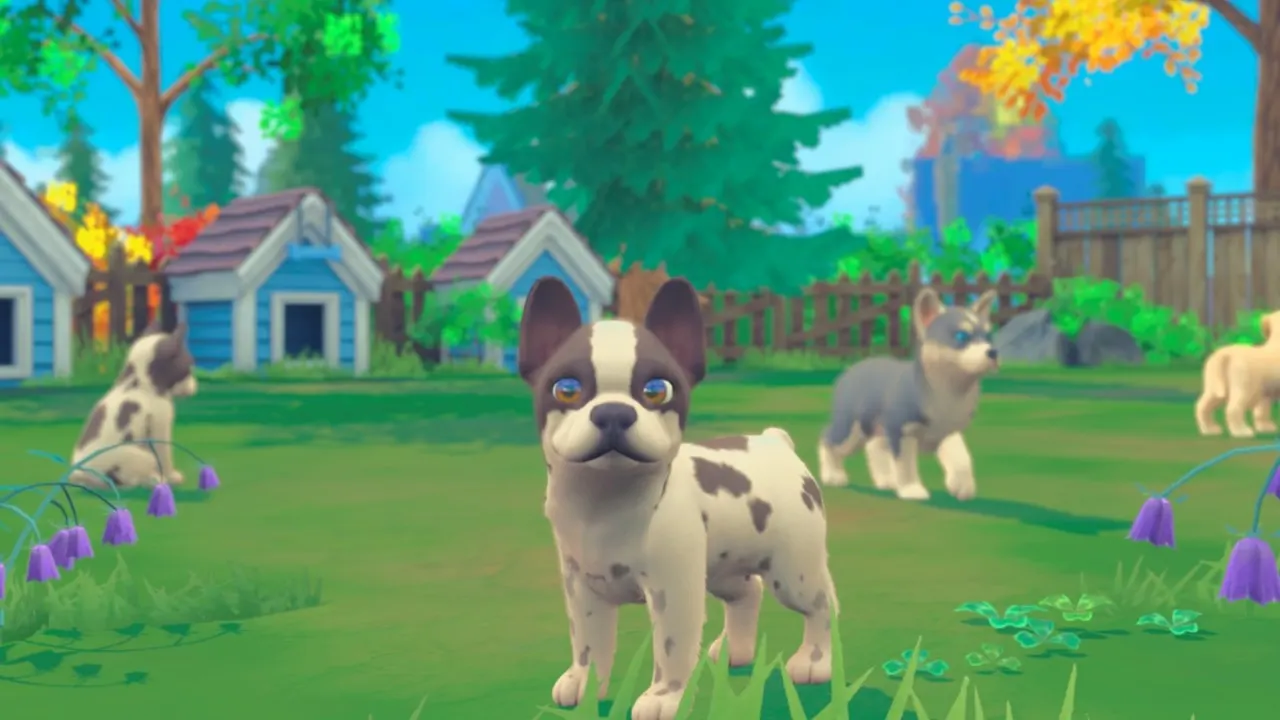 My Universe - Puppies & Kittens media 10