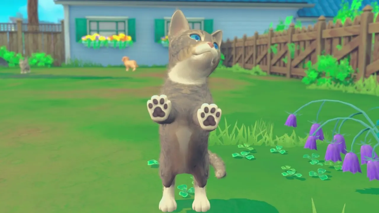 My Universe - Puppies & Kittens media 13