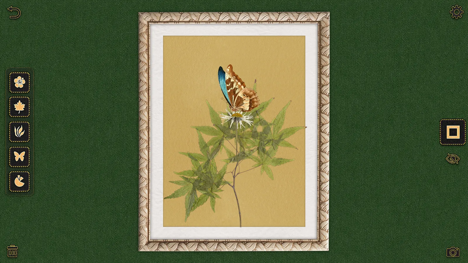 Nature Atelier media 7