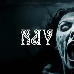 Обкладинка гри Nav