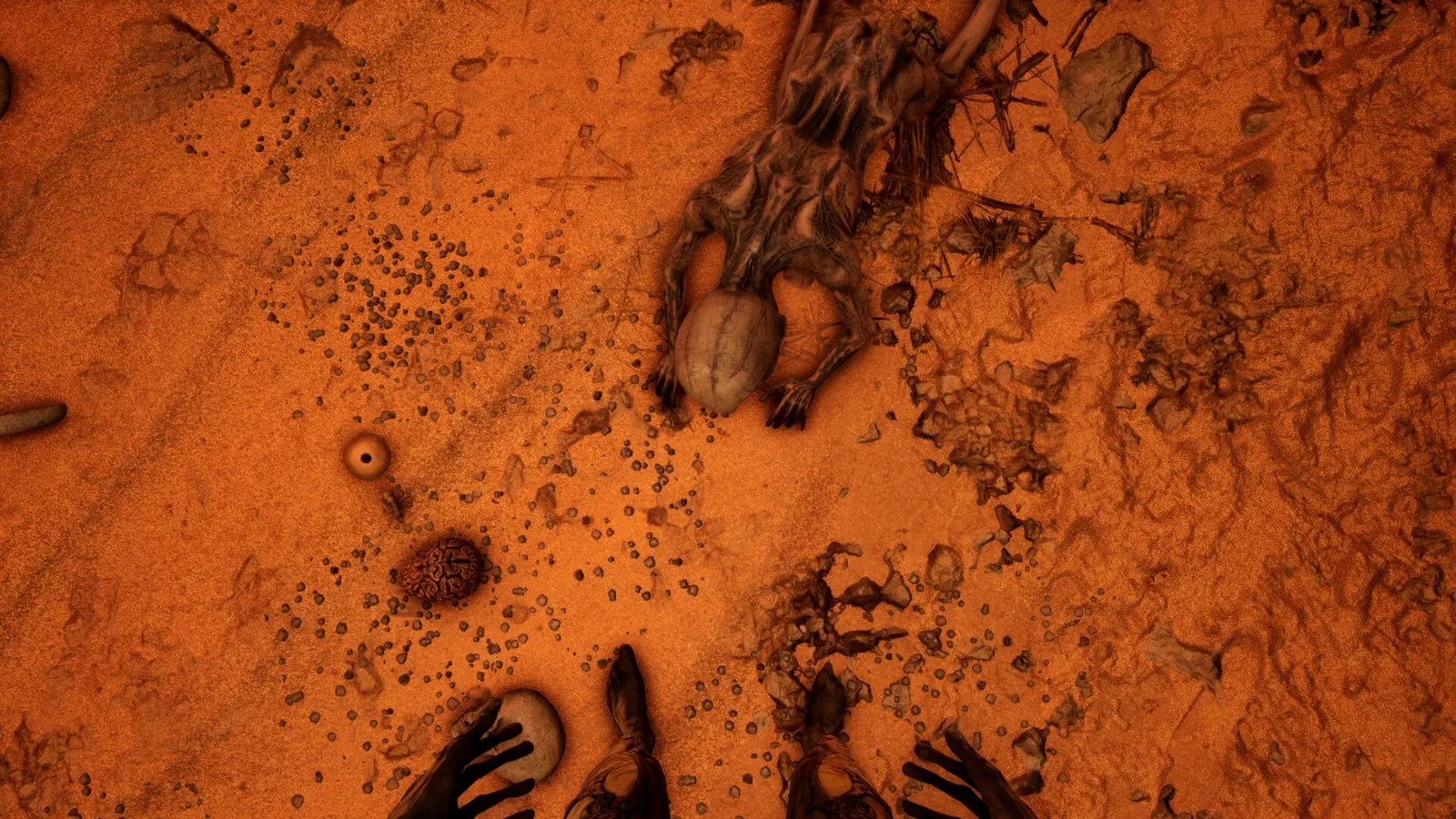 Necrophosis media 8