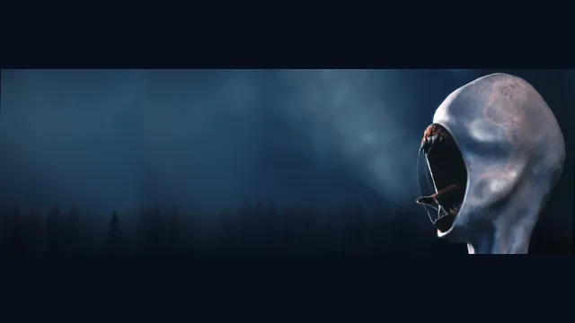 Netherwake