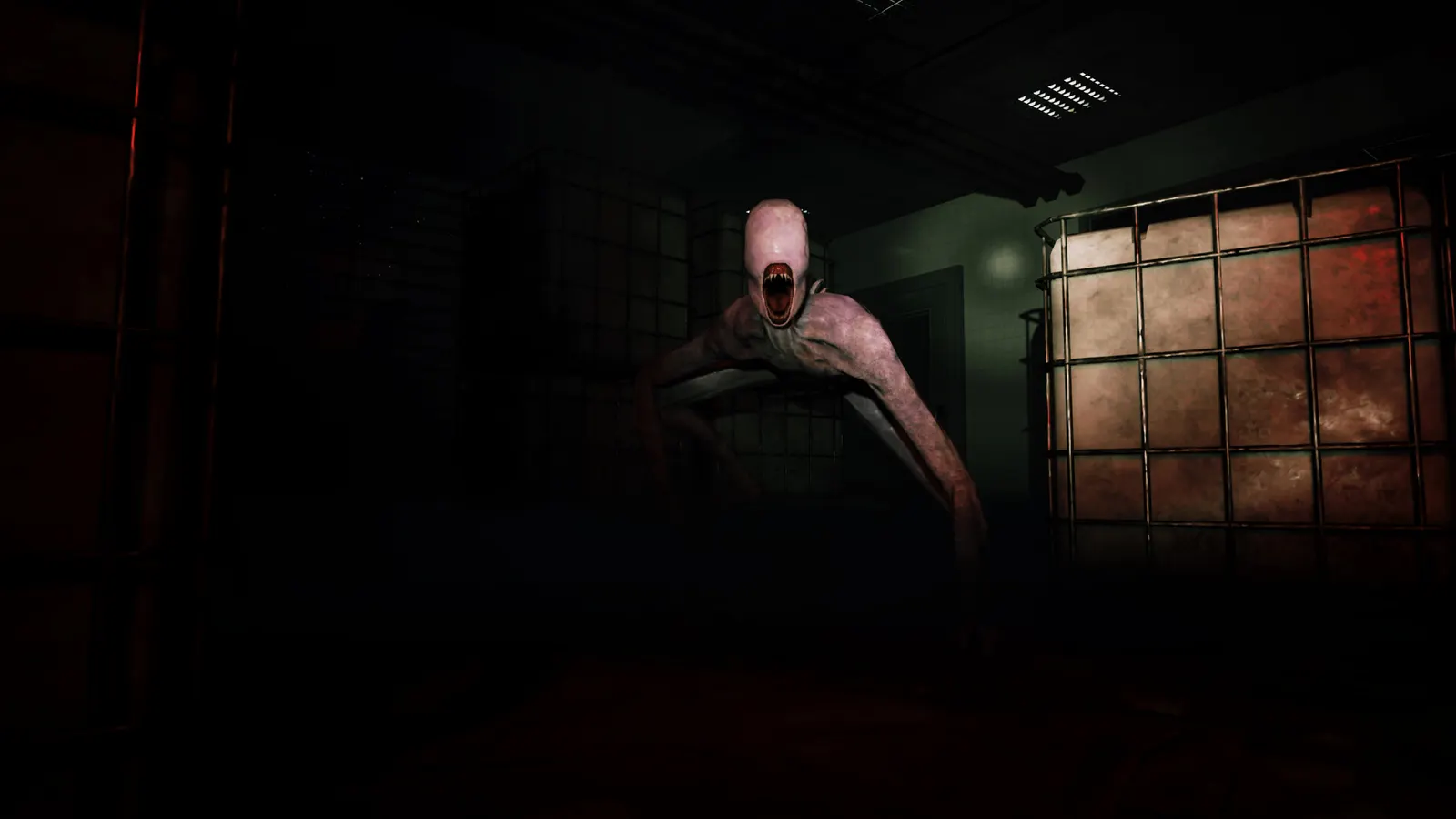 Netherwake media 13