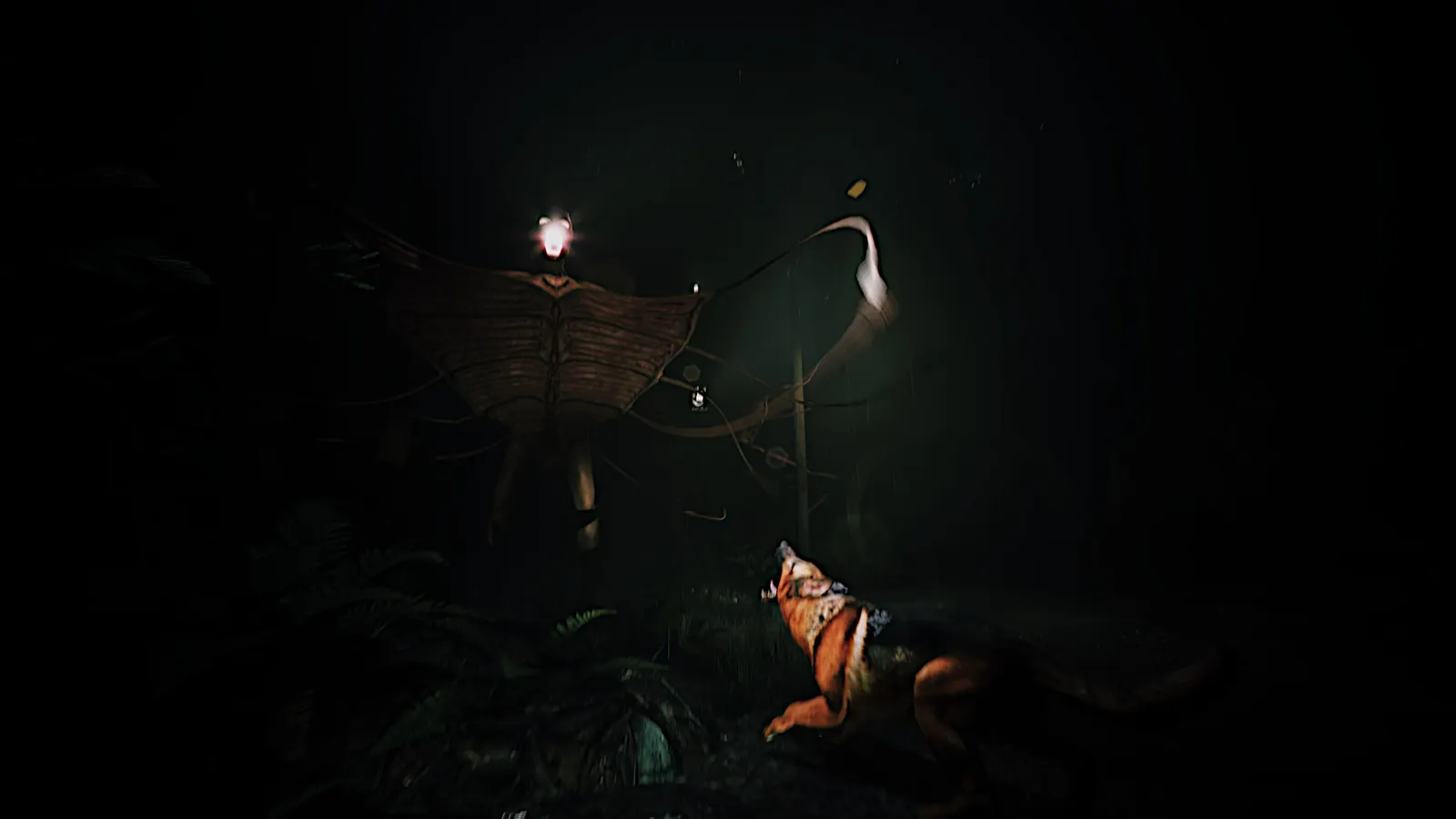Netherwake media 14