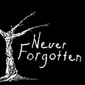 Обкладинка гри Never Forgotten
