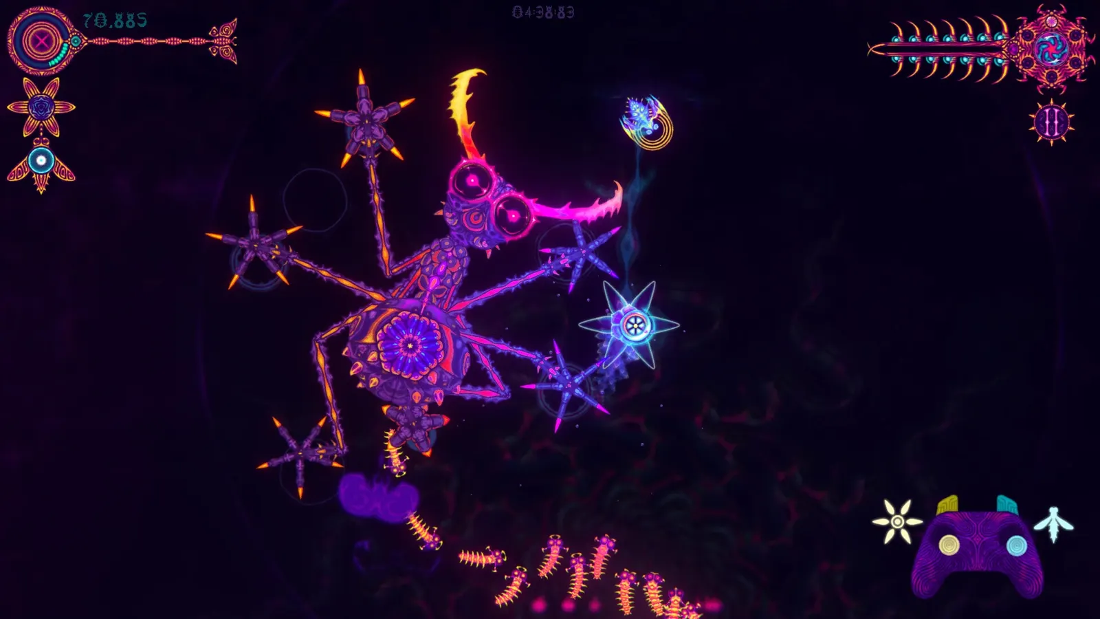 NIDUS media 2