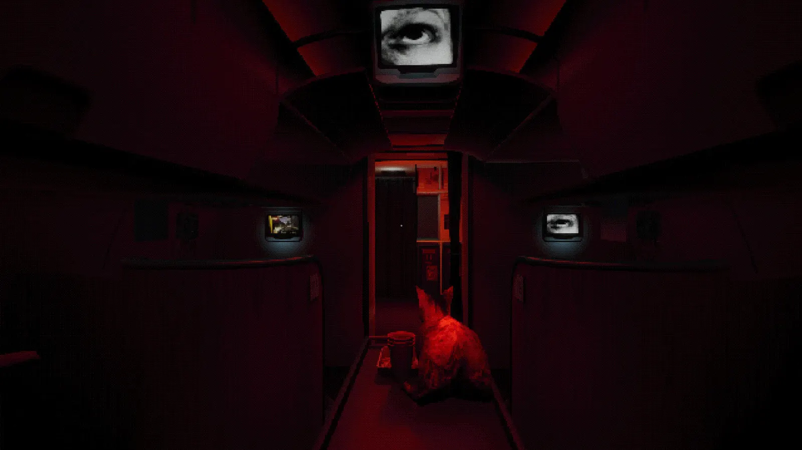 Night Plane media 14