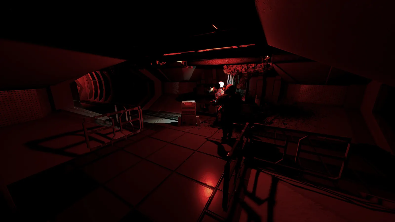 Niktophobia media 13