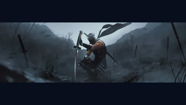 NINJA GAIDEN 2 Black