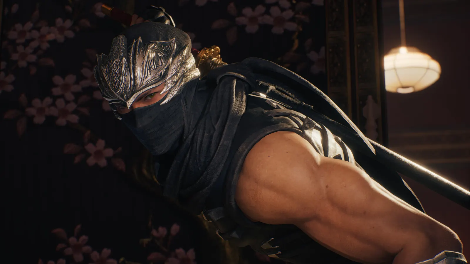 NINJA GAIDEN 2 Black media 5