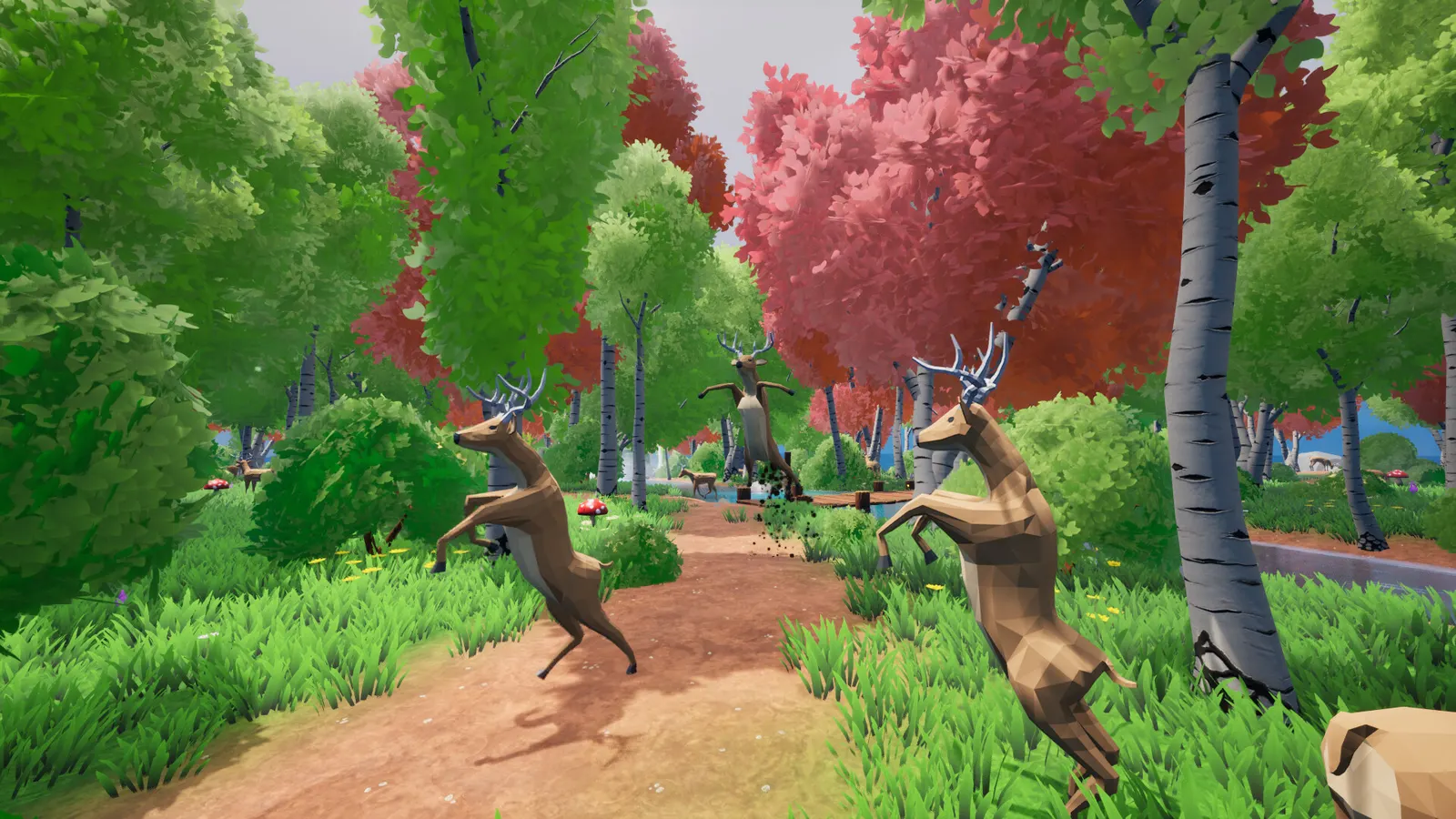 Oh Deer media 2