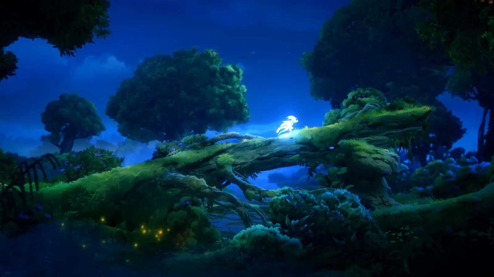 Ori and the Will of the Wisps media 7
