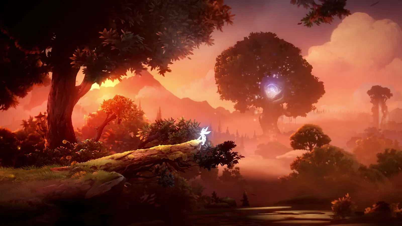 Ori and the Will of the Wisps media 14