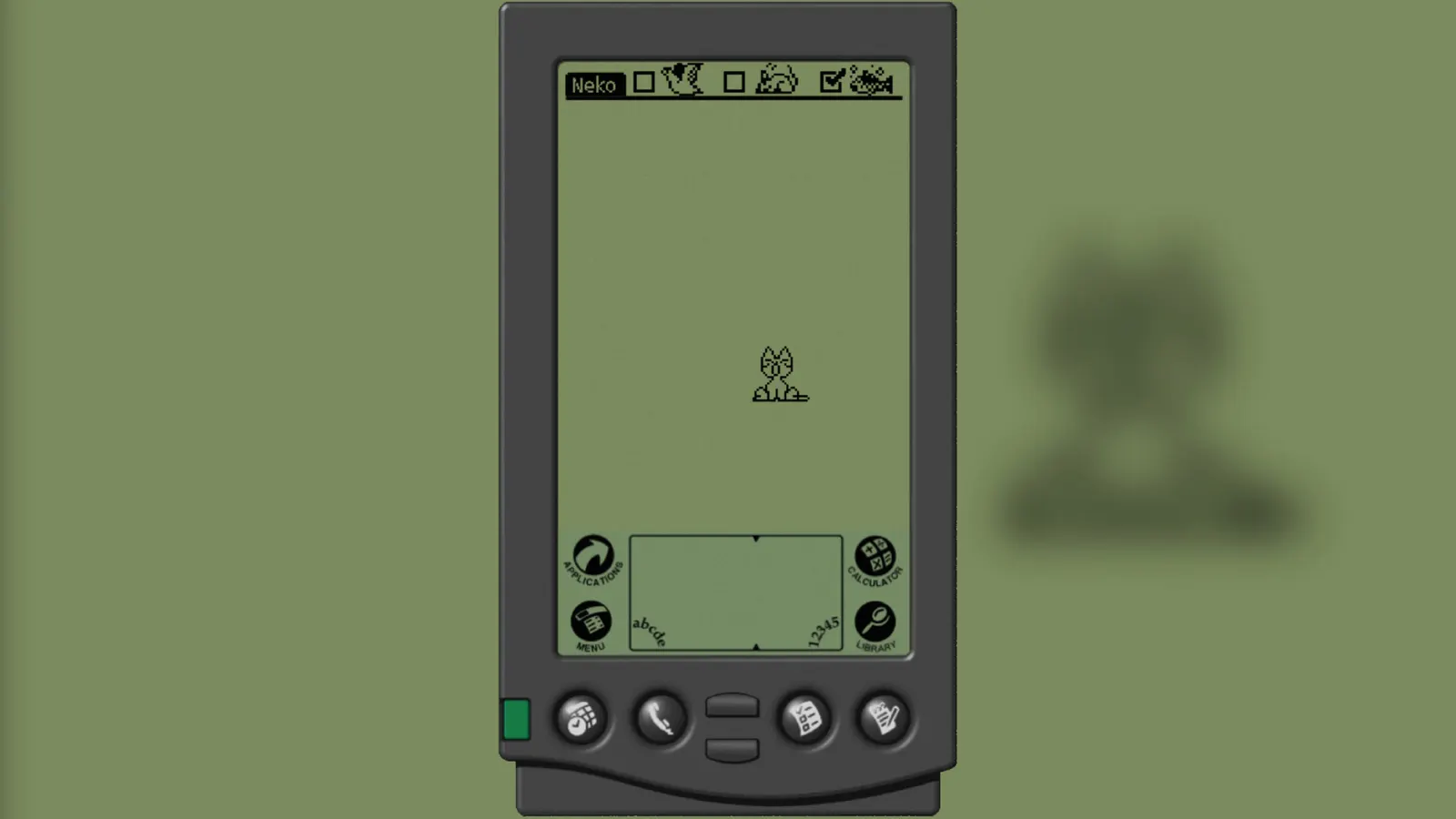 Palm Cracker media 8
