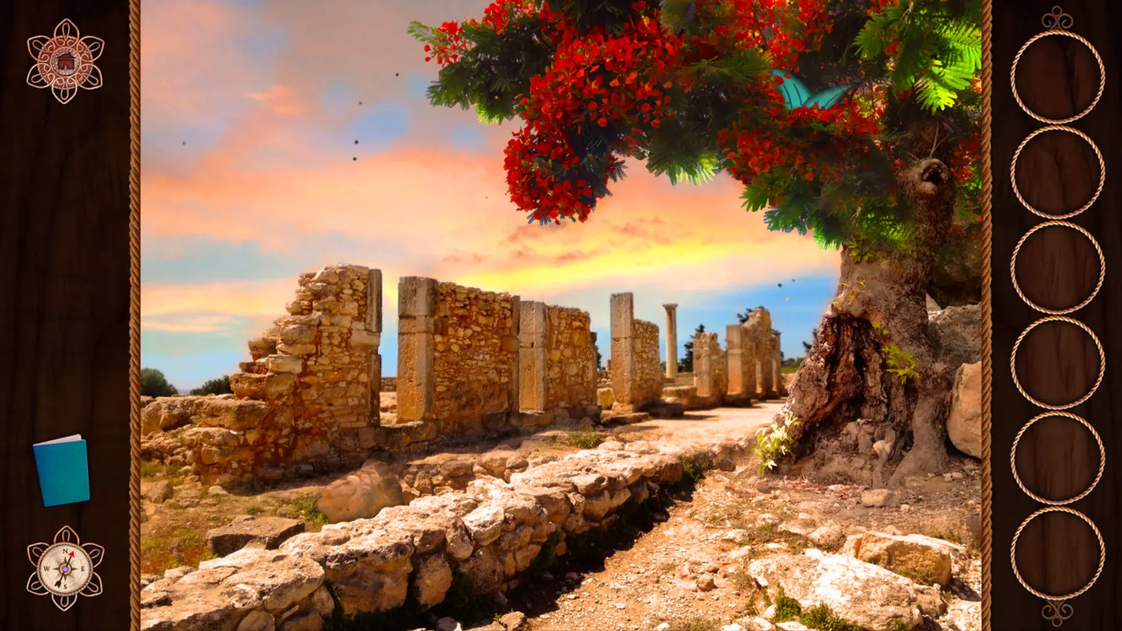 Panmorphia media 3