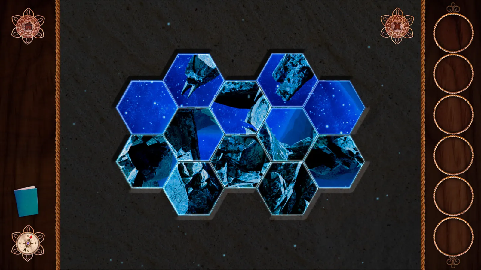 Panmorphia media 9