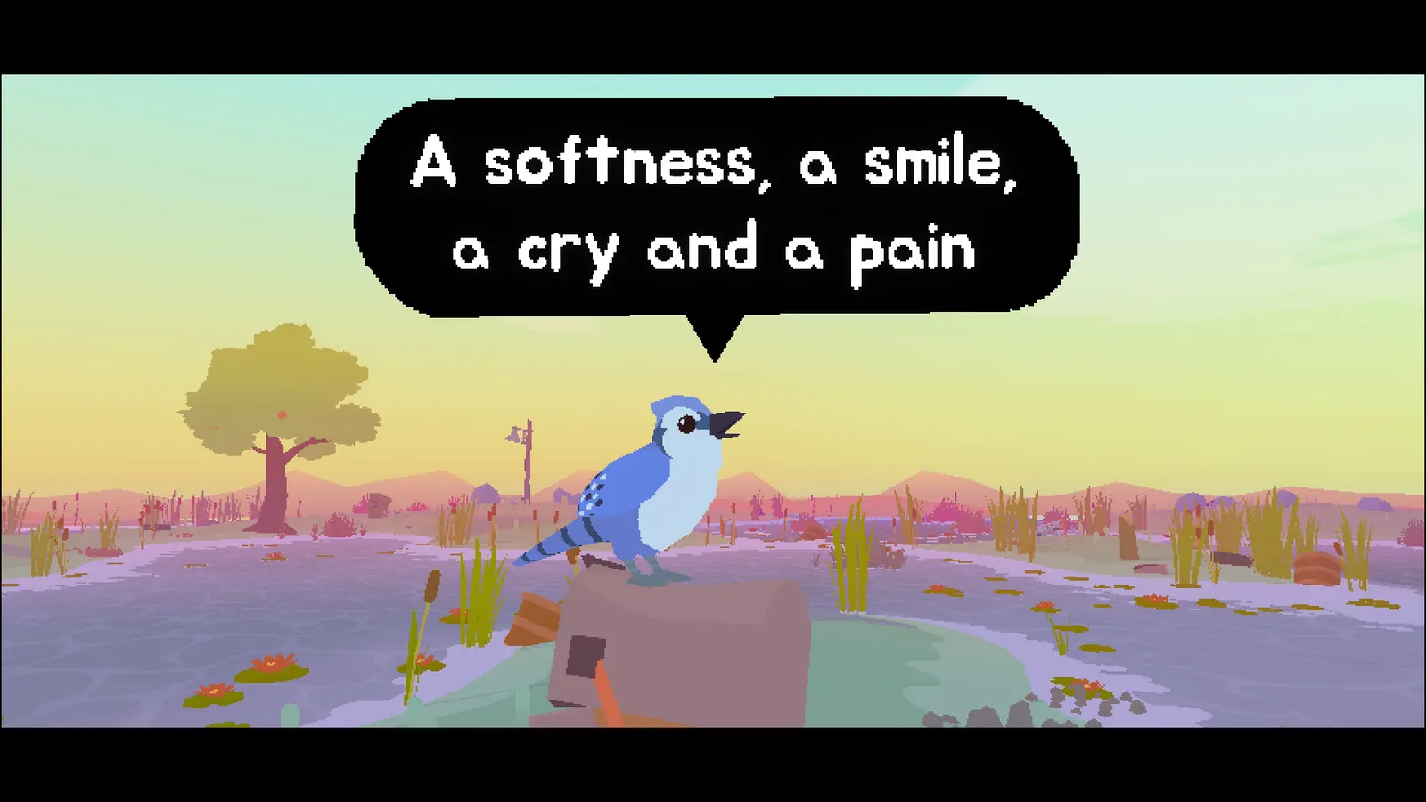 Paradise Marsh media 8