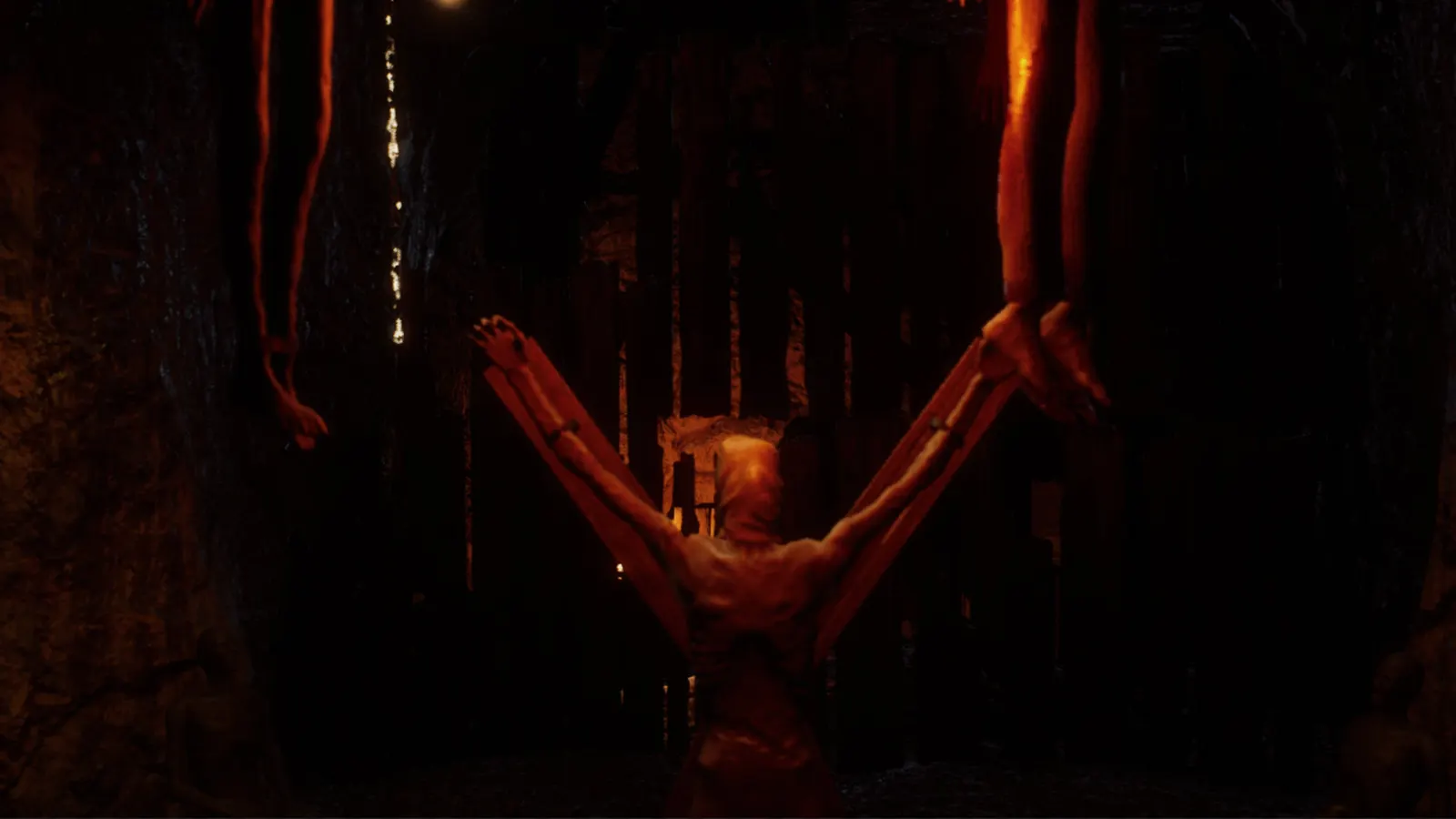 PARANECRO media 7