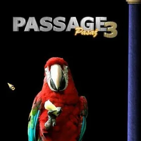Обкладинка гри Passage 3