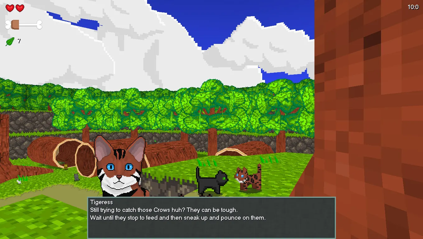 Paws for Adventure media 2