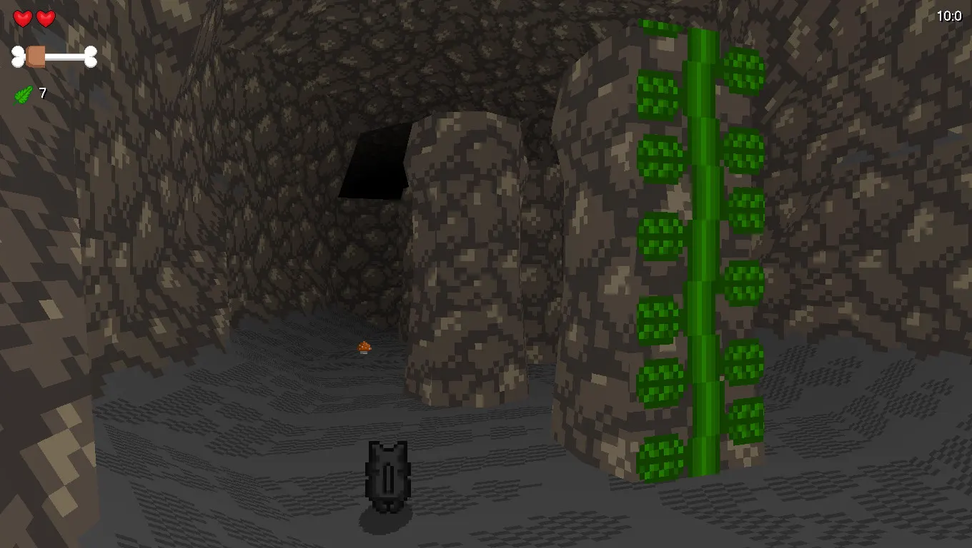 Paws for Adventure media 4