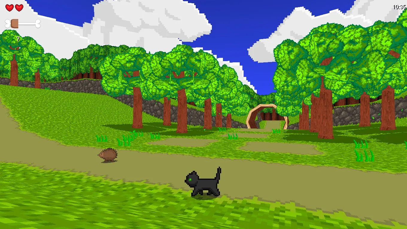 Paws for Adventure media 5