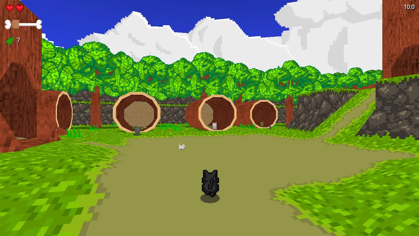 Paws for Adventure media 7