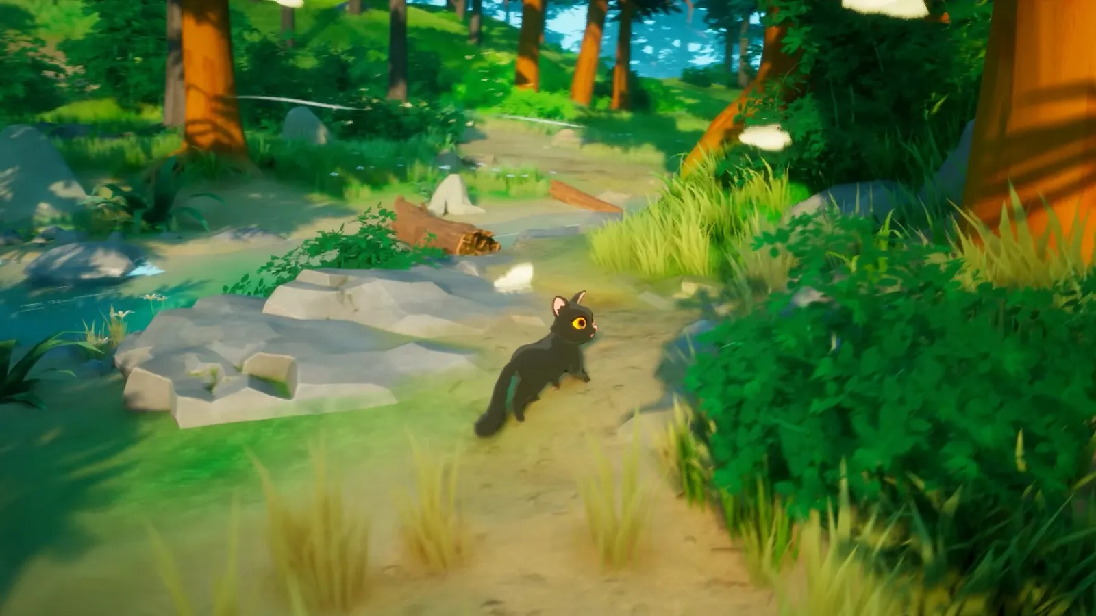 Paws Trail media 2