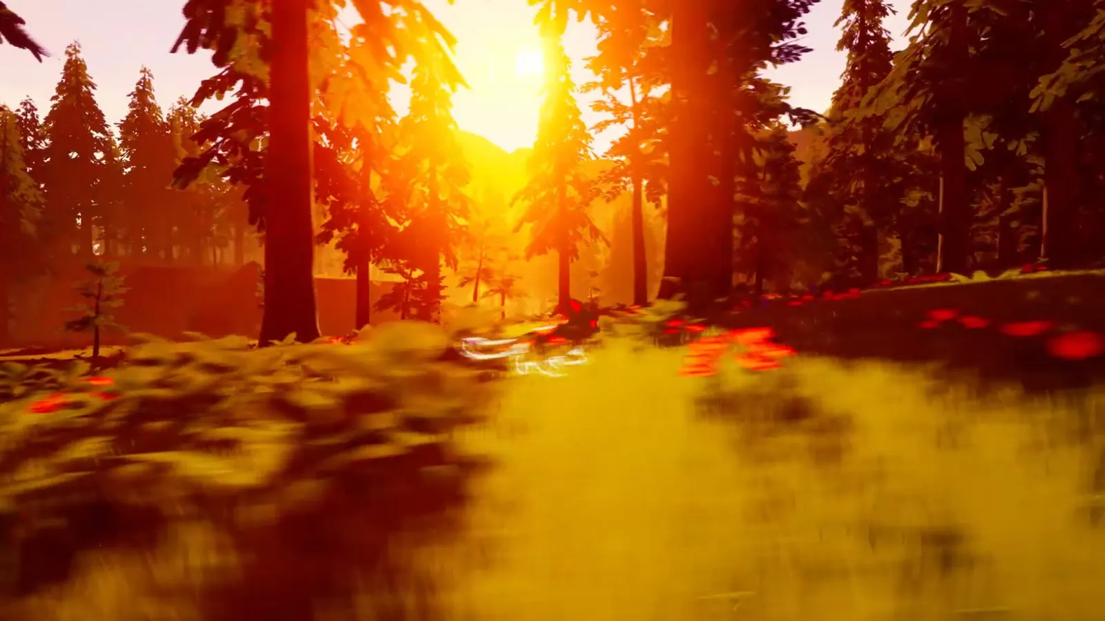 Paws Trail media 3