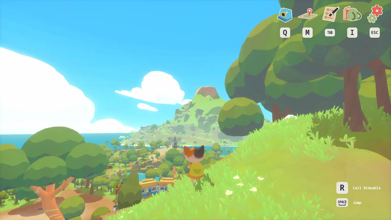 Petit Island media 14