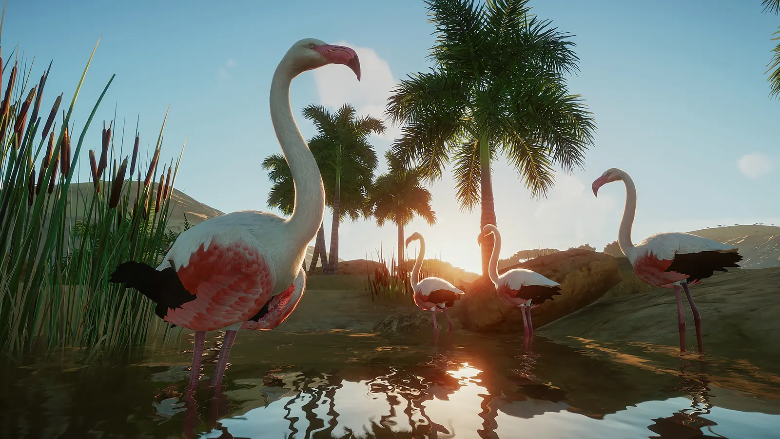 Planet Zoo media 24