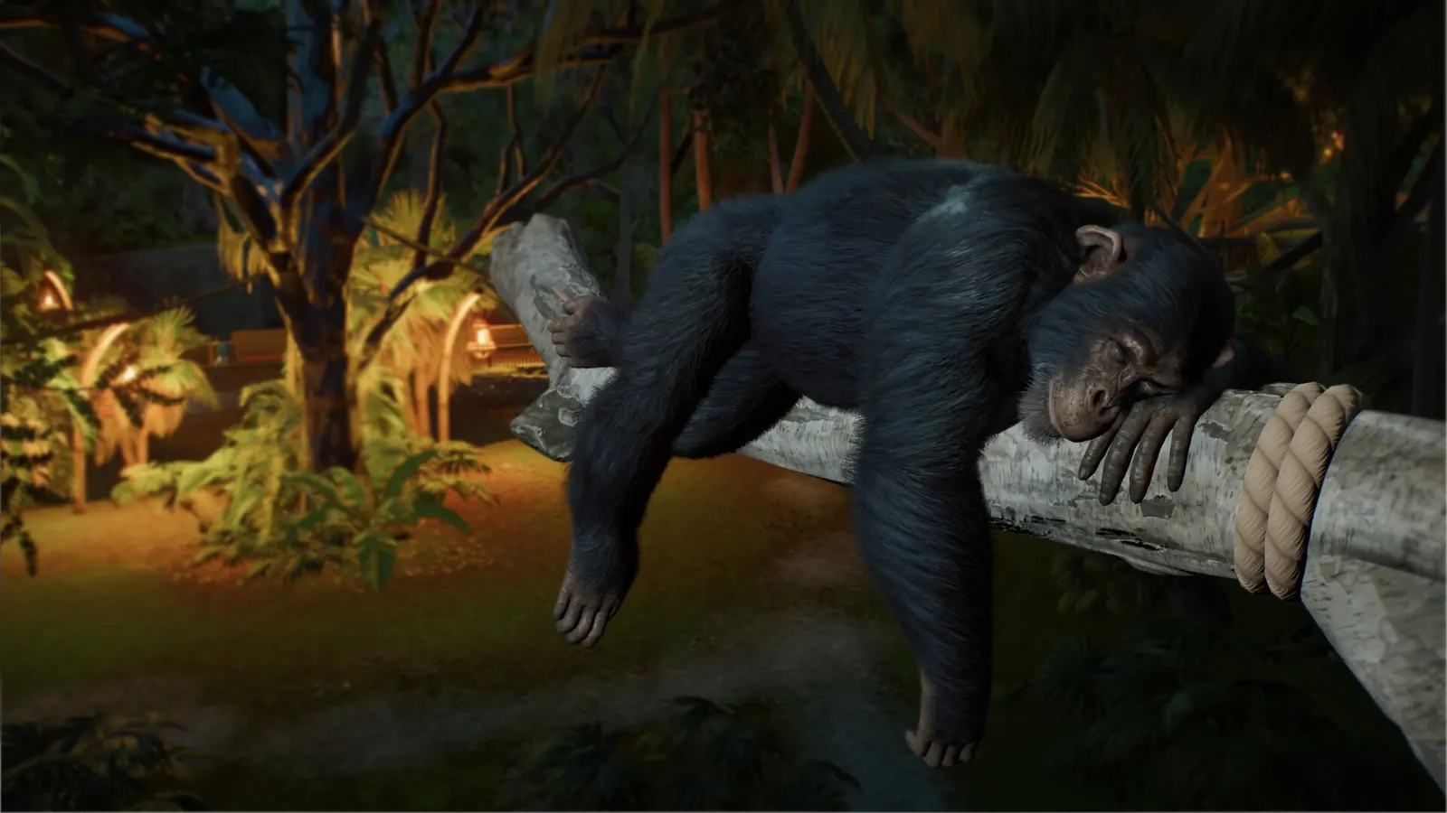 Planet Zoo 2 media 6