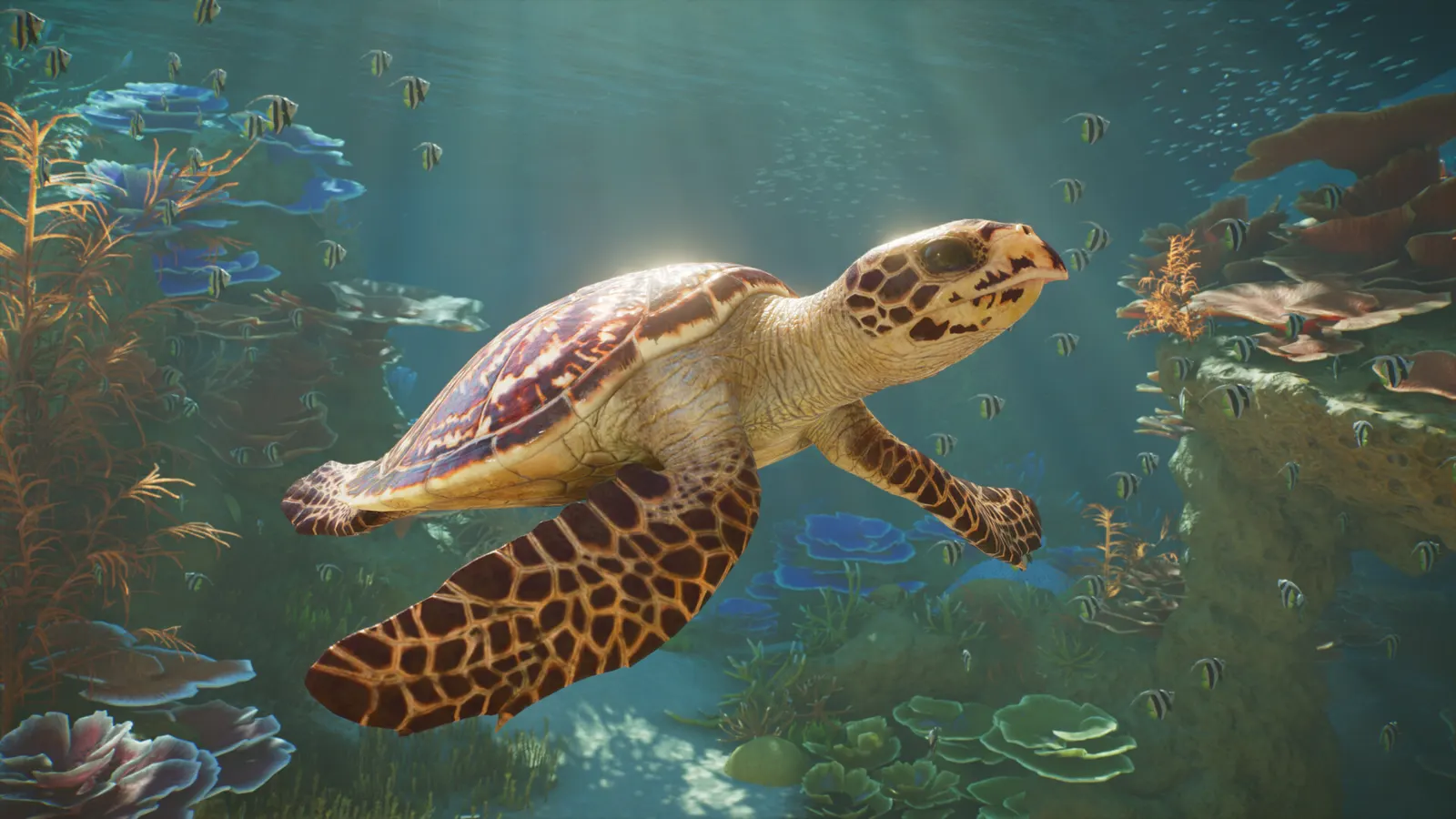 Planet Zoo 2 media 14