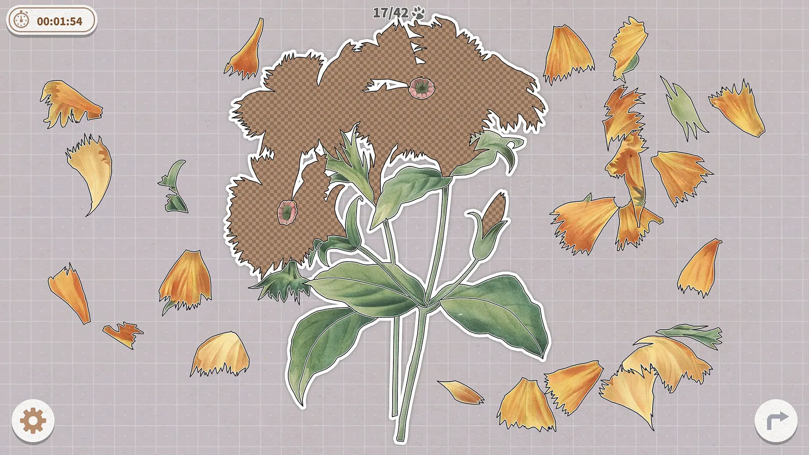 Plants Huddled Together media 6