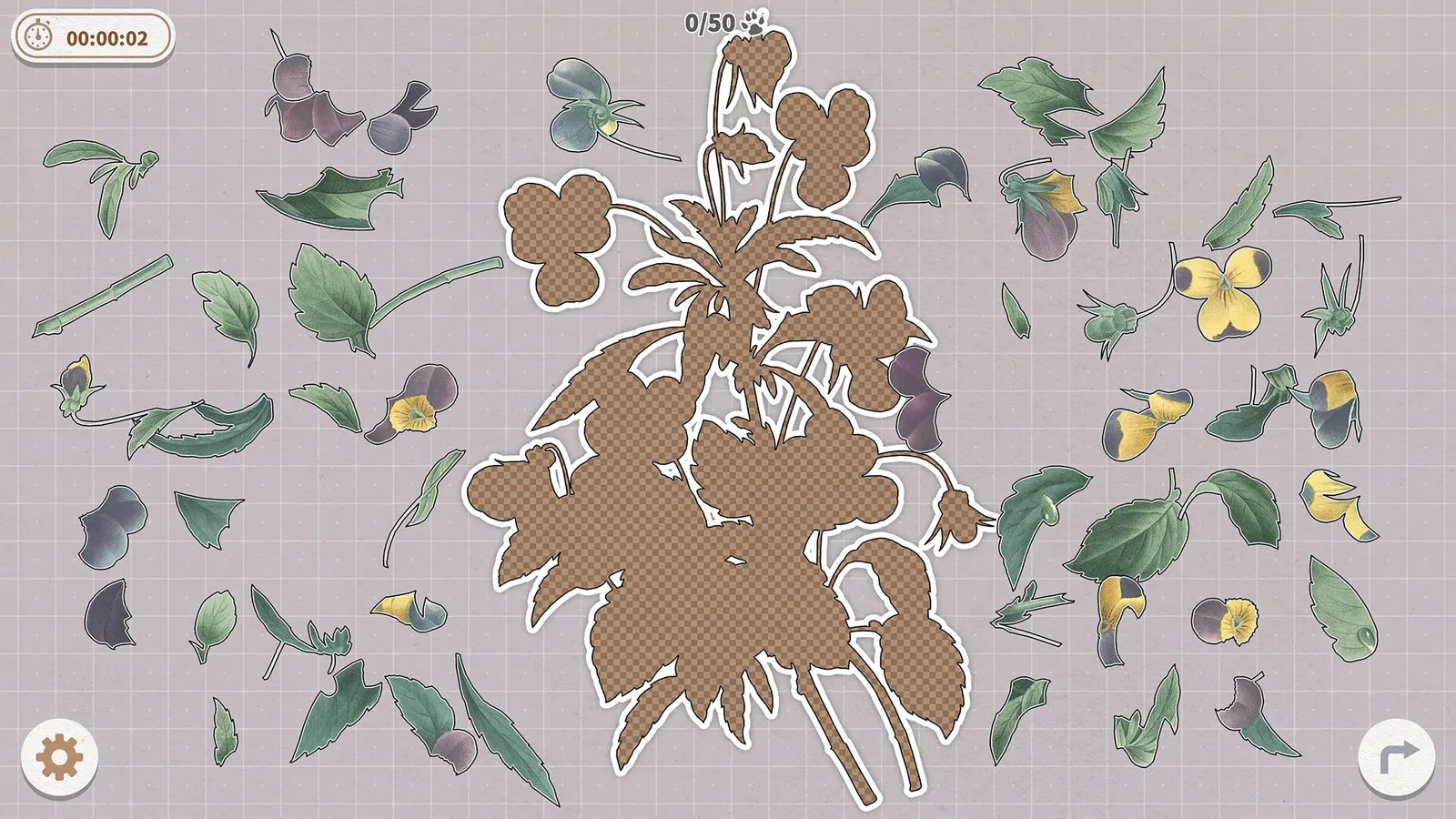 Plants Huddled Together media 8