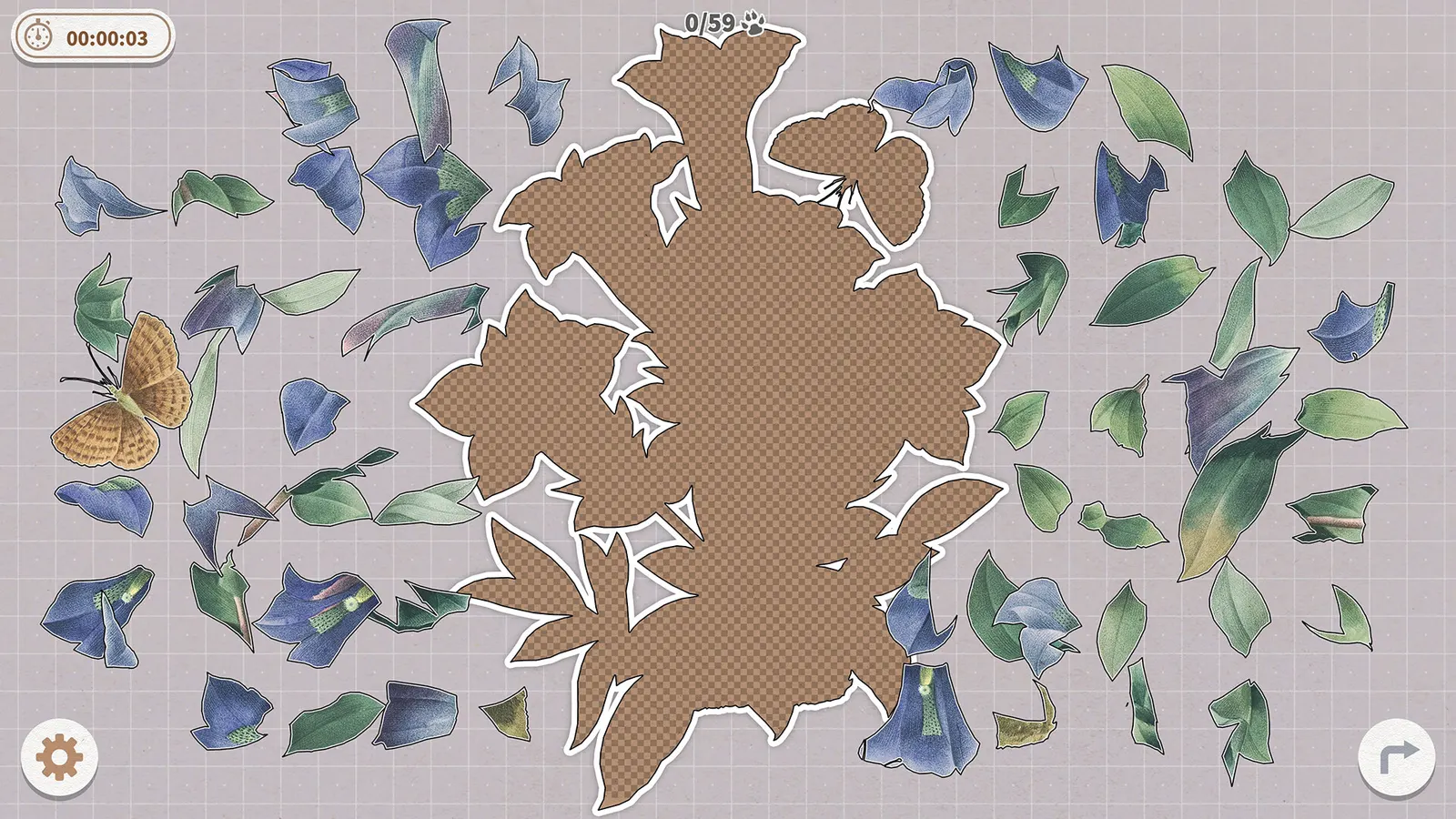 Plants Huddled Together media 11